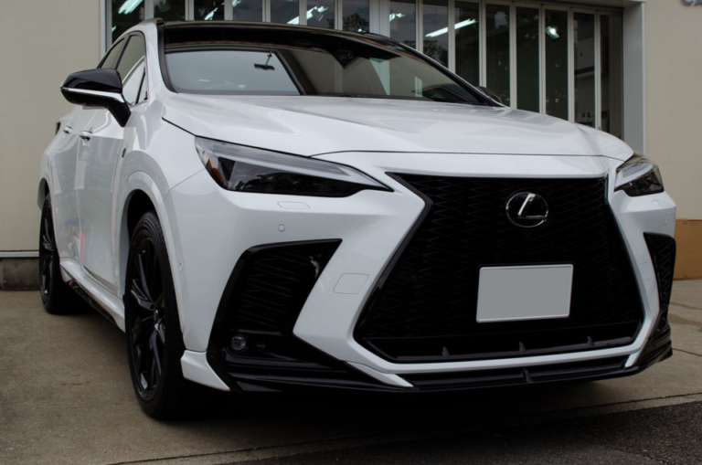 【プロテクションフィルム、コーティング】AZ20型 LEXUS NX ホワイトノーヴァガラスフレーク